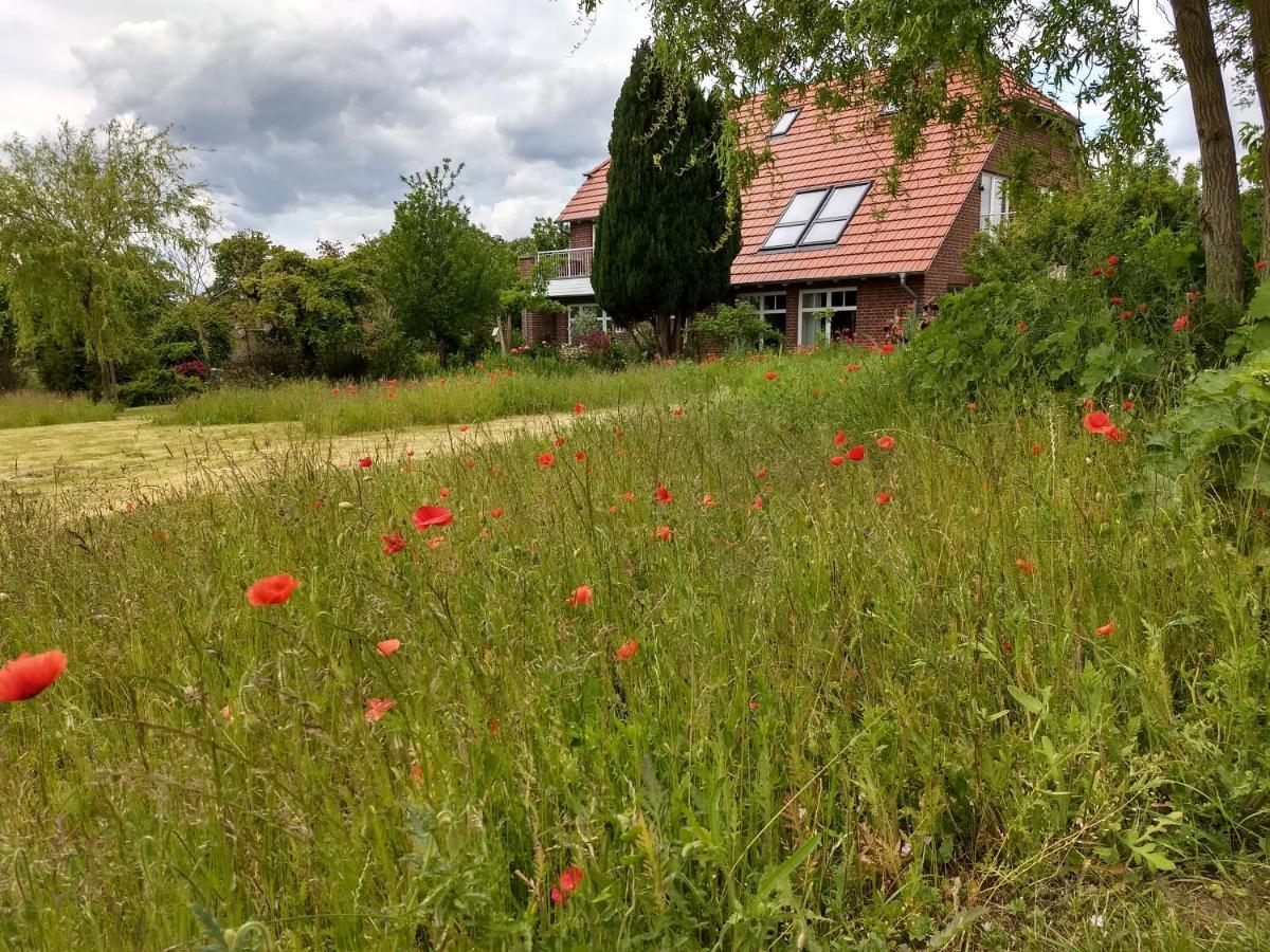 Haus Rosengarten- Ruhige Ferienwohnungen Im Gruenen Sehlen Exterior photo